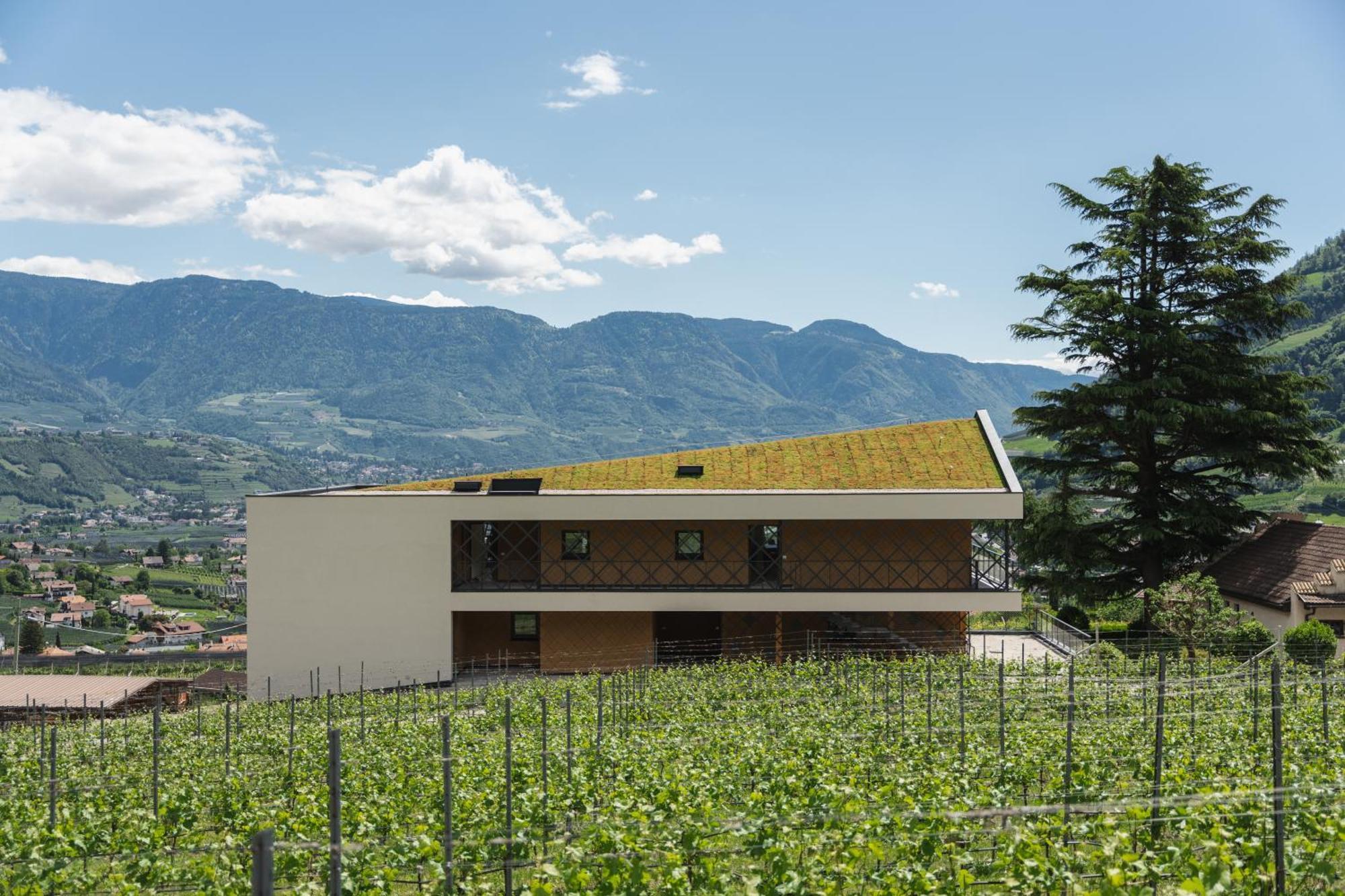 Schloss Plars Wine & Suites Lagundo Esterno foto